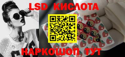 spice Кунгур
