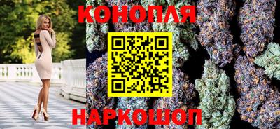spice Кунгур